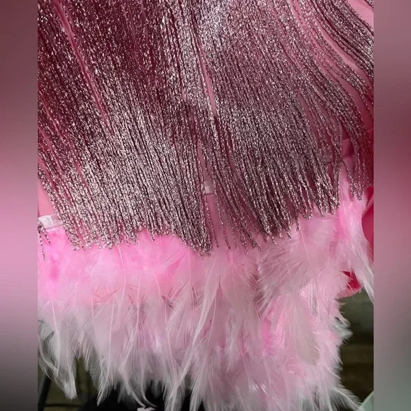Ballerina Pink Sexy Fringe Feather Skirt Set With Tassles, 2 Piece Set - Picture 8 of 10